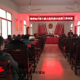 杨村甸乡第十届人民代表大会第三次会议顺利召开