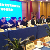 2019年湖南省外商投资企业迎春座谈会长沙召开