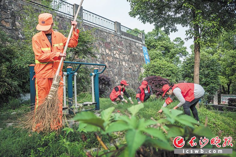 　　在“全民志愿者”精神的感召下，越来越多雨花人正为环境美洁、城市文明出力，“小红帽”汇聚成暖心风景。 彭可佳 摄