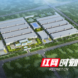 发力显示“新蓝海” 首期投资过百亿的高端显示器模组项目开工