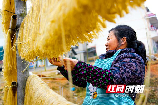 红网时刻1月21日讯（通讯员 刘恩权）1月17日，是农历腊月十三，临近年关，年味儿渐浓，各家各户开始准备购置年货，除了购买肉、水果、糖等年货外，邵阳人钟情于手工红薯粉。