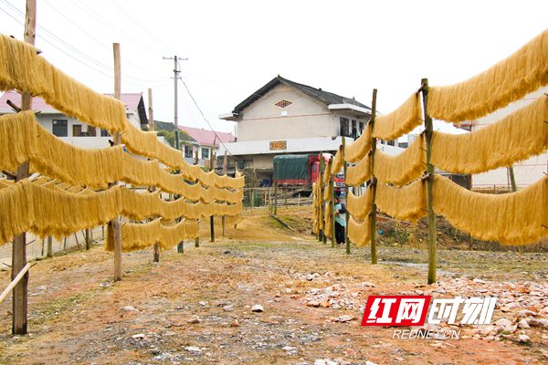 邵阳市双清区双清区渡头桥镇两塘村61岁的村民唐美雄和丈夫是做手工红薯粉加工生意的，她和老伴做这一行十几年了，每年快过年时，附近村镇就有许多人将自家产的红薯送过来加工成红薯粉，她们俩一天能够加工红薯粉一千余斤。