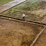 集体建设用地建租赁住房试点再扩大 到农村租房或成趋势