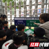 娃娃学垃圾分类  争当环保小卫士