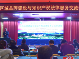 湖南省律协知识产权专业委研讨会在蓝山举行
