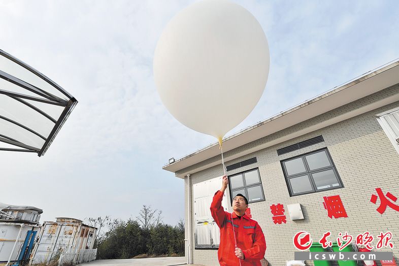 　　昨日，海拔115米的莲花山上，冉峰准备放气象气球。    长沙晚报全媒体记者 王志伟 摄