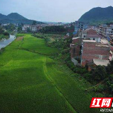 娄星区城乡综合管理局：驻村帮扶见成效