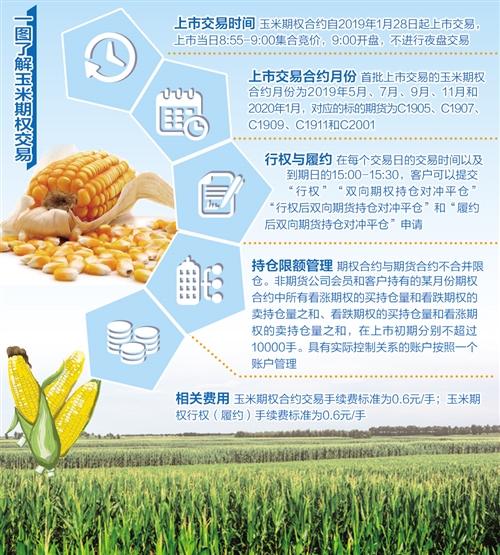 res01_attpic_brief.jpg res01_attpic_brief.jpg