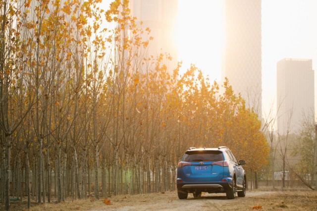 在异乡最冷的时节 还好有你的陪伴