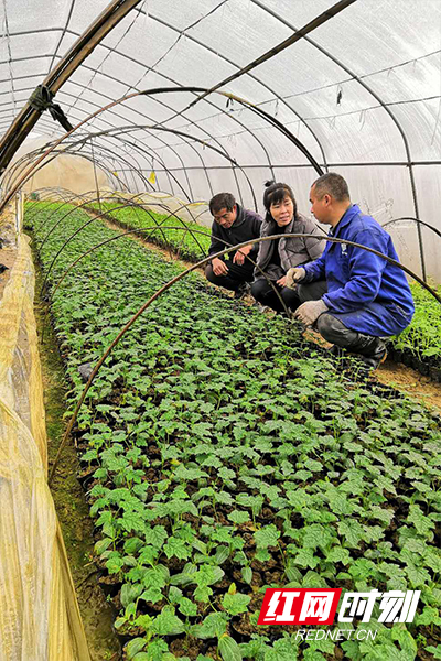 ?????0514.jpg ?????0514.jpg