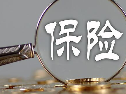 多数险企保费收入增长 2019年“转型”面临挑战