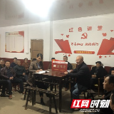 浏阳市文家市镇“主题党日+”促推支部“活力指数+”