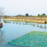 天心区治出一方水清 换来一城美景