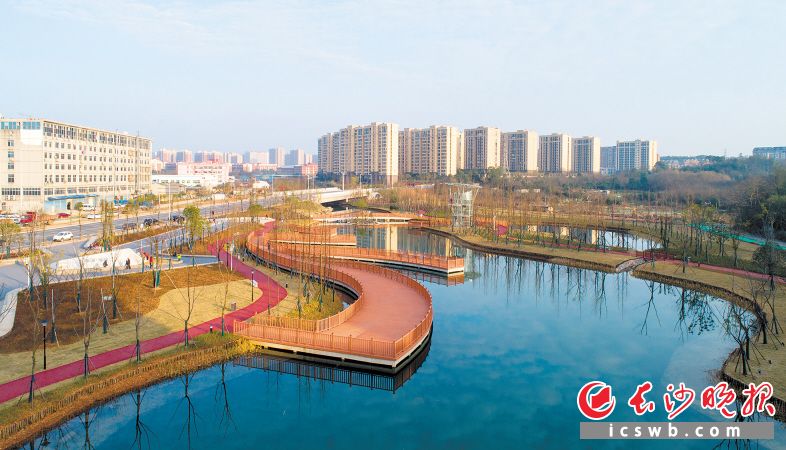 　　先锋街道辖区，经过一年的截污纳管、河道清淤、景观示范段建设、中水补水等综合治理后，现在的港子河清澈见底，两侧风景宜人。