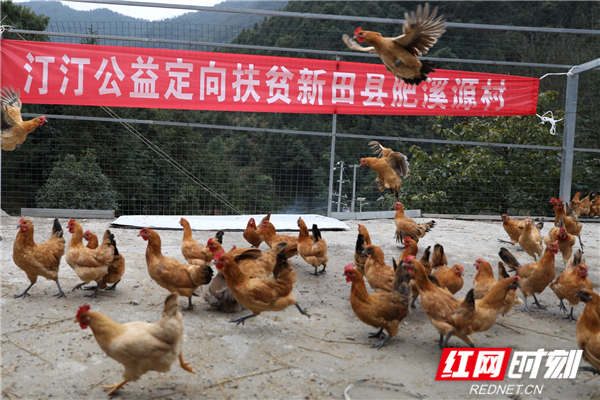 610896664983179896_??.jpg 610896664983179896_??.jpg