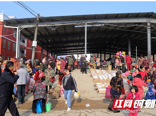 北塔区陈家桥乡农村人居环境整治助力乡村振兴