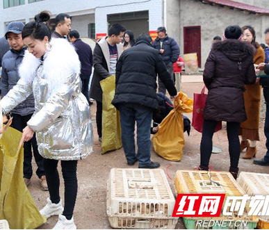 农户产品销售愁  人大代表带头买