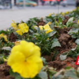 永州：喜气洋洋迎新年