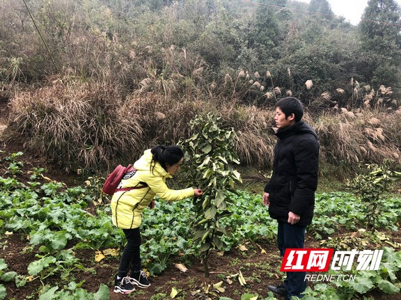 3.marked.jpg 3.marked.jpg