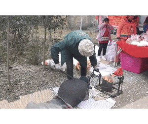 未命名.gif