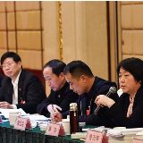 长沙代表团分组审查政府工作报告 胡衡华王柯敏胡忠雄出席