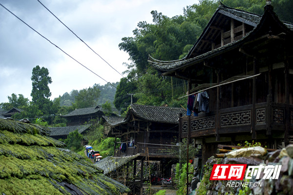 1/7永定区四都坪乡牧笛溪村
