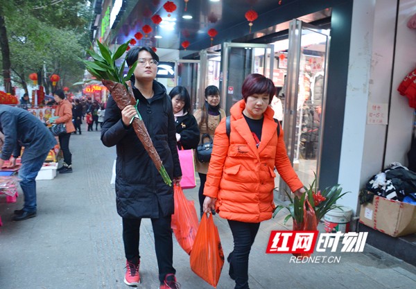 “中国人都讲究新年新气象，近两年春节我都会来挑些好养的绿植装扮家里。”一位顾客说道。