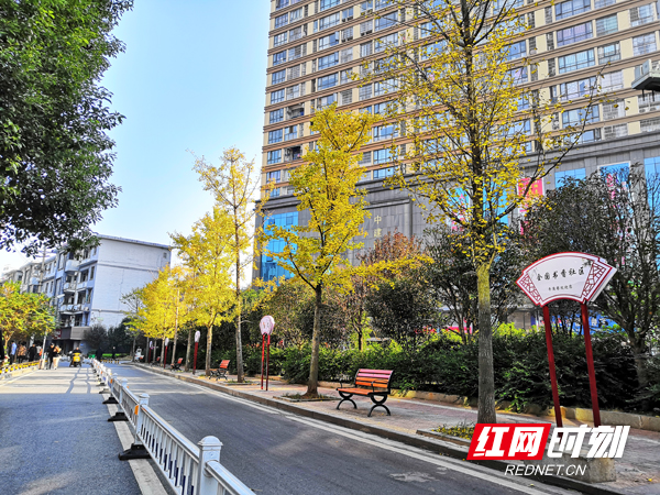 “大城管”建设看衡阳|因地制宜共建共享 老社区实行自治型物业化管理