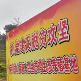 精准扶贫，民营企业家在行动丨这条扶贫路走得很坚决