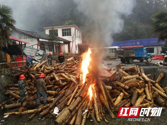 微信图片_20190130225035.jpg