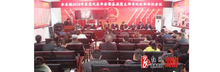 水东镇召开2018年度党代表年会暨基层党支部书记述职评议会议