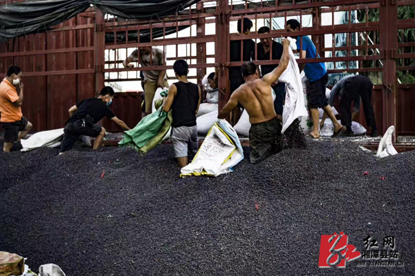 3f17e9e9-45f4-4e4b-8d50-c64188b3ef5d.jpg 3f17e9e9-45f4-4e4b-8d50-c64188b3ef5d.jpg