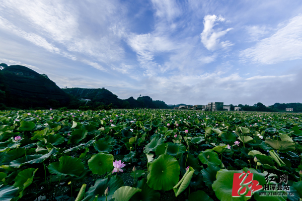 c204150f-2fc4-47d4-9eb0-1f4f3b8d8369.jpg c204150f-2fc4-47d4-9eb0-1f4f3b8d8369.jpg