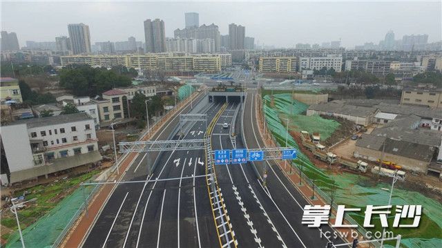 长沙晚报记者 王志伟 摄