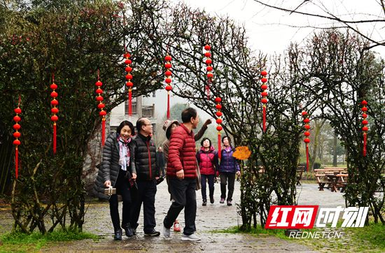 【回家】对山歌、打糍粑 黄龙洞景区邀请您过一个土家族民俗风味年