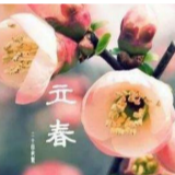【二十四节气之立春】一阵春风吹酒醒，美了人间