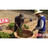 《最美扶贫人》第一期:张刚:主动请缨挑重担 攻坚克难助脱贫