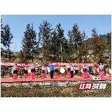 凤凰：精准扶贫新生活 苗寨群众喜迎春