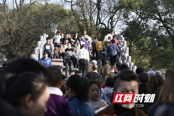 道县：春节假日前四天，景区共接待游客18.2万人次