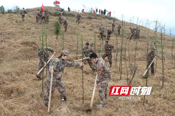湖南宁远：3000余名干部群众义务植树5万余株