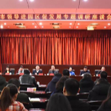 市领导进隆平园集体“大拜年” 定方向谋路子促发展