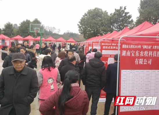 大祥区蔡锷乡举行招聘会 吸引1000余名村民