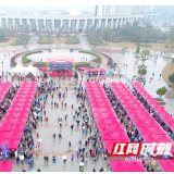 长沙市“春风行动”吹拂大地：抓重点群体就业 抓企业用工服务