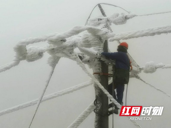 微信图片_20190214172227.marked.jpg