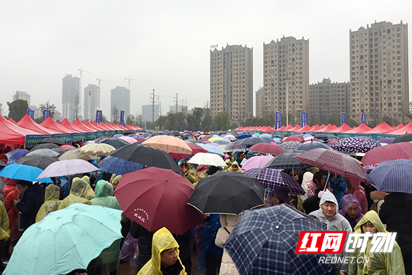 14.pic_hd.jpg 14.pic_hd.jpg