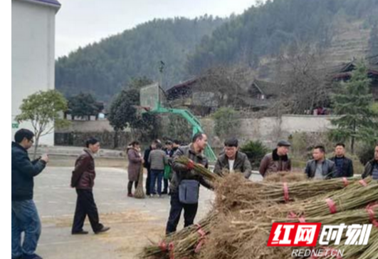 城步：林业帮扶惠及5760多贫困户 助力生态脱贫