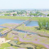 湘阴县农村人居环境整治再擂战鼓