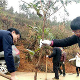 吉庆镇：协力栽下同心树