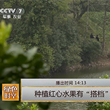 【央媒聚焦】CCTV7《绿色天空》聚焦双峰残疾企业家蒋年发