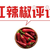 “厅官退休15年自首”彰显反腐震慑力量